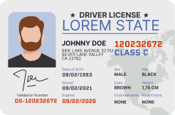 License example