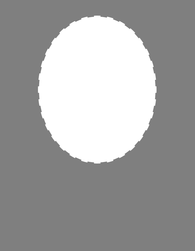 Selfie camera preview